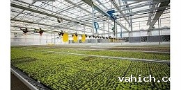 智慧农业是什么（ 智慧农业有什么功能特点）