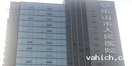 乐山人民医院（三甲）机房监控项目