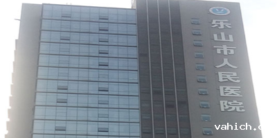 乐山人民医院中心机房以及灾备中心机房监控系统