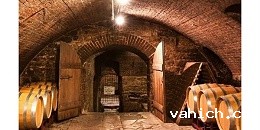 酒窖类温湿度监控系统介绍