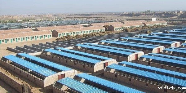 养殖业环境监控解决方案